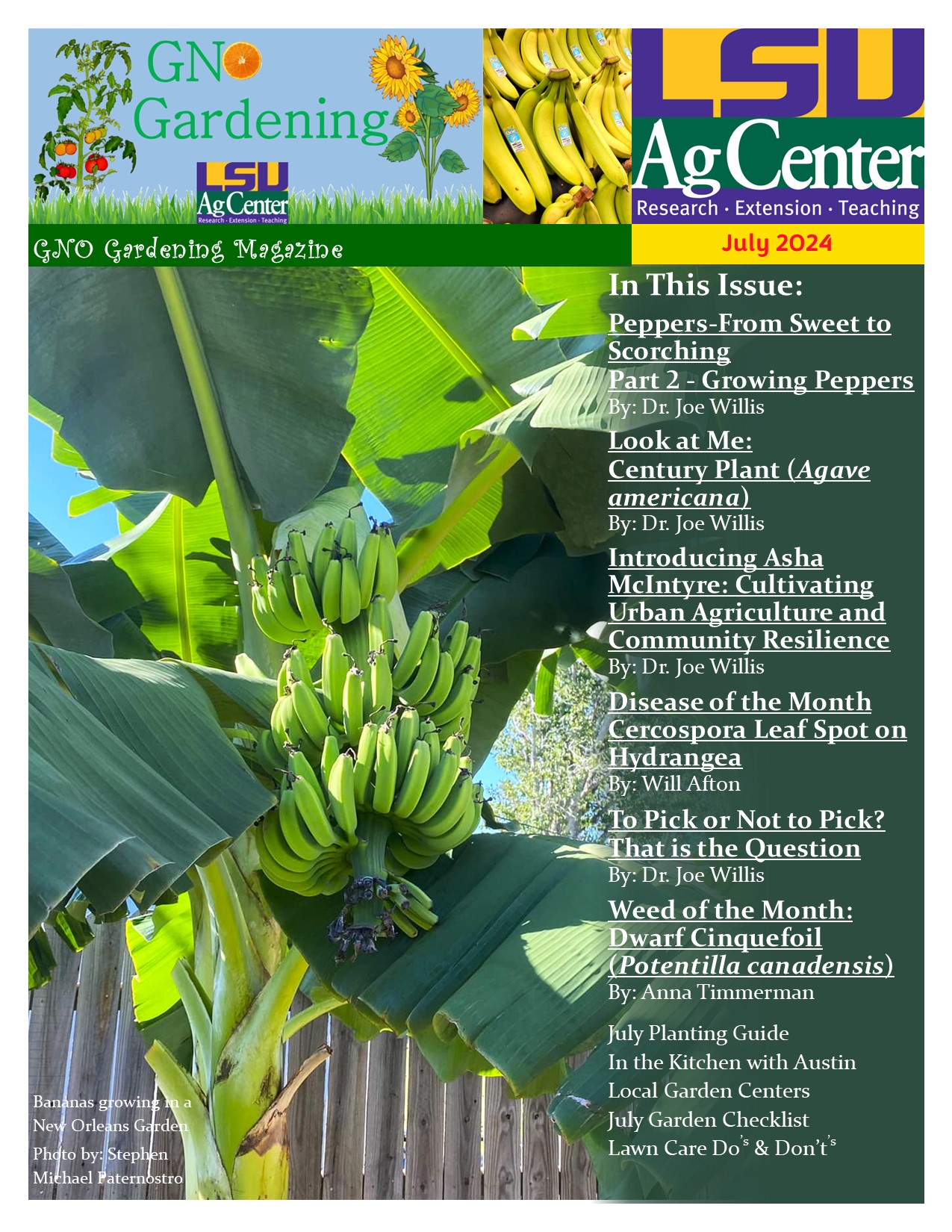July 2024 cover.jpg thumbnail